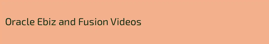 Oracle Ebiz and Fusion Videos